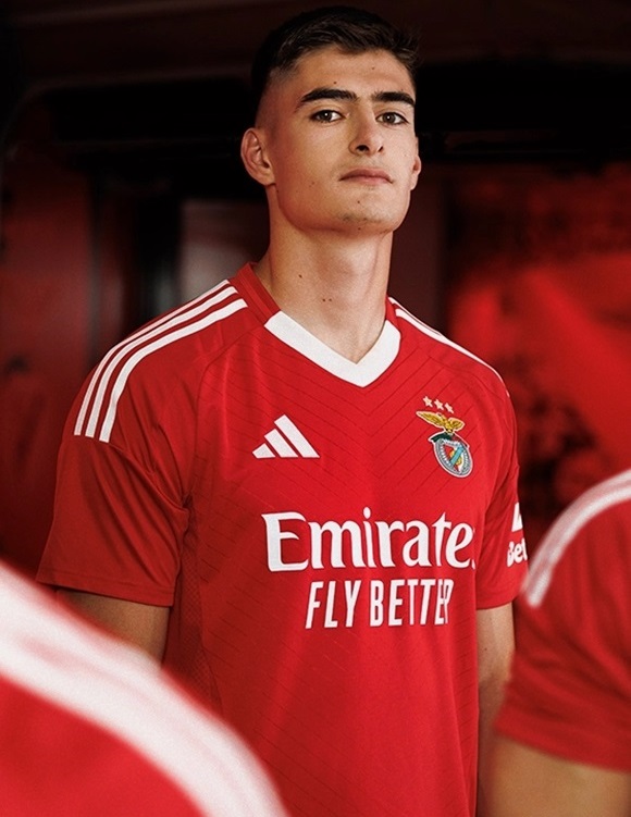 Benfica 2024-2025 maillot de foot domicile officiel